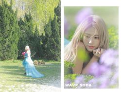 -WAVE SODA摄影工作室