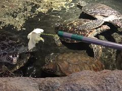 -绍兴梦享海洋公园