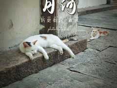 -嘉兴月河历史街区