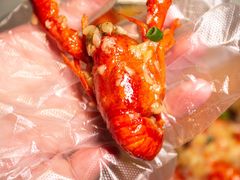 -松哥油焖大虾.小龙虾.黑鸭煲(海岸城店)