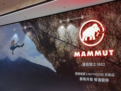 -合景·悠方(成都店)