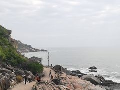 -广东惠东海龟国家级自然保护区