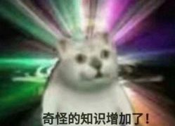 -格乐利雅婚礼艺术中心(浦东花木店)
