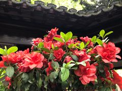 -汇龙潭
