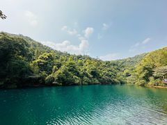 -鼎湖山风景区