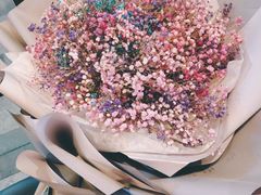 -植物学家的女儿(北马道巷店)