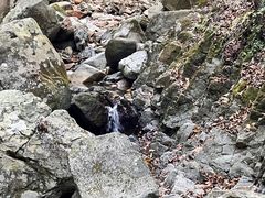 -本溪汤沟绿石谷森林公园
