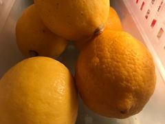 柠檬-朝阳菜场(白塔西路店)