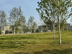 -东北农业大学