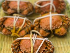 -蟹天蟹地农家菜·阳澄湖大闸蟹(浅水湾店)