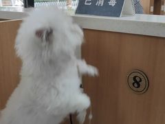 -联合动物医院(光谷诊疗中心)