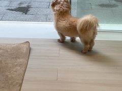 -YCHL Studios健身工作室(市二宫店)
