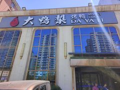 -大鸭梨烤鸭店(花园村店)