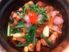 啫啫生肠-大榕树下顺德菜(融创茂店)