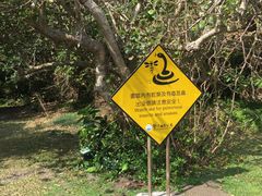 -鹅銮鼻公园