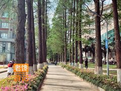 -武汉大学图书馆·文理学部总馆