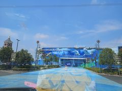 -芜湖新华联大白鲸海洋公园