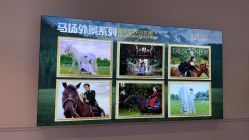 -哈贝儿童摄影(增城大润发店)