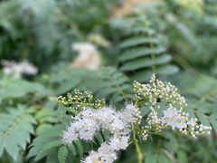 -北京西山国家森林公园