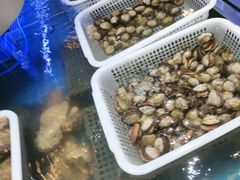 -大众海鲜(巨龙北路店)