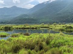 -腾冲北海湿地