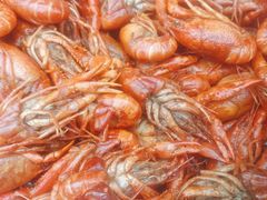 -草本味·市井羊肉馆(新开铺总店)