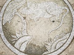 -立新湖公园