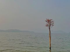-四明湖
