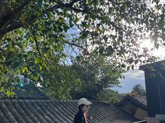 -糖房咖啡(南锣鼓巷店)