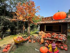 -HERRE·FARM 赫尔露营农场·团建聚会包场