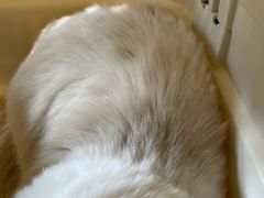 -宠颐生动物医院·心脏科·保险定点(锦阳分院)