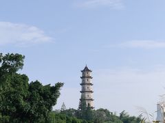 -江心屿景区
