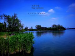 -渤公岛生态公园