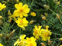 -江苏三台山国家森林公园