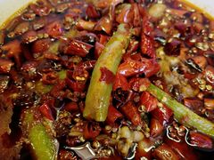 嘉陵楼特色招牌馋嘴蛙-嘉陵楼馋嘴城(簋街总店)