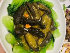 蟹粉烩海参-王宝和酒家(黄浦店)