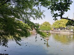 -嘉定紫藤园