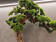 -闫府私房菜·百年鲁菜(恒隆店)