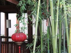 -青城山六善酒店·紫氣園中餐厅