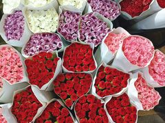 -三圣花乡旅游区