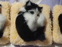 -纪念日百货(江西南昌店)