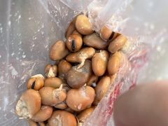 -洪湖里王姐大乌豆