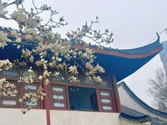 -堤角公园