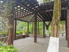 -重庆彩云湖湿地公园