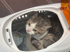 -联合动物医院(光谷诊疗中心)