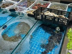 -美达尔烧烤(大尧三路店)