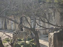 -南昌动物园