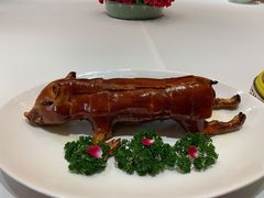 巴马小香猪-西郊壹号