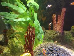 -沈阳海洋探索中心