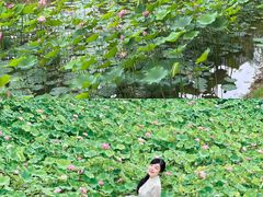 -沐仙湖湿地公园